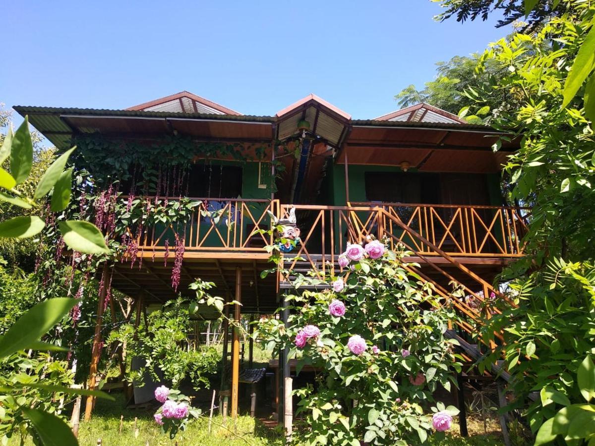 Mist Valley Hotel Masinagudi Exterior photo