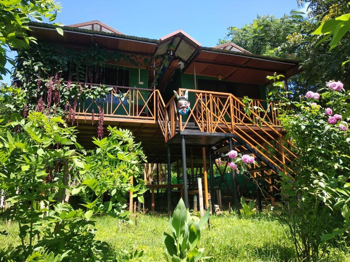 Mist Valley Hotel Masinagudi Exterior photo