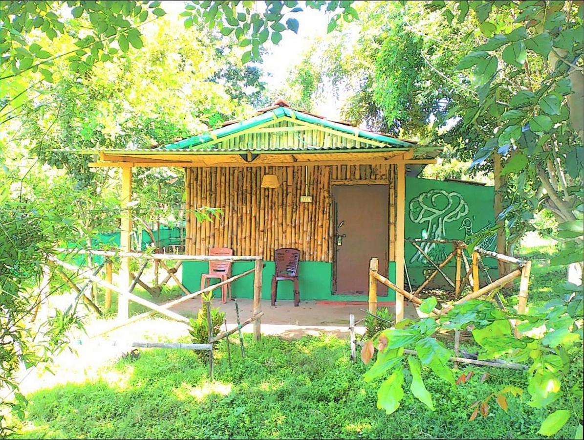 Mist Valley Hotel Masinagudi Exterior photo